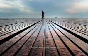 "As the Rain Falls", Photography