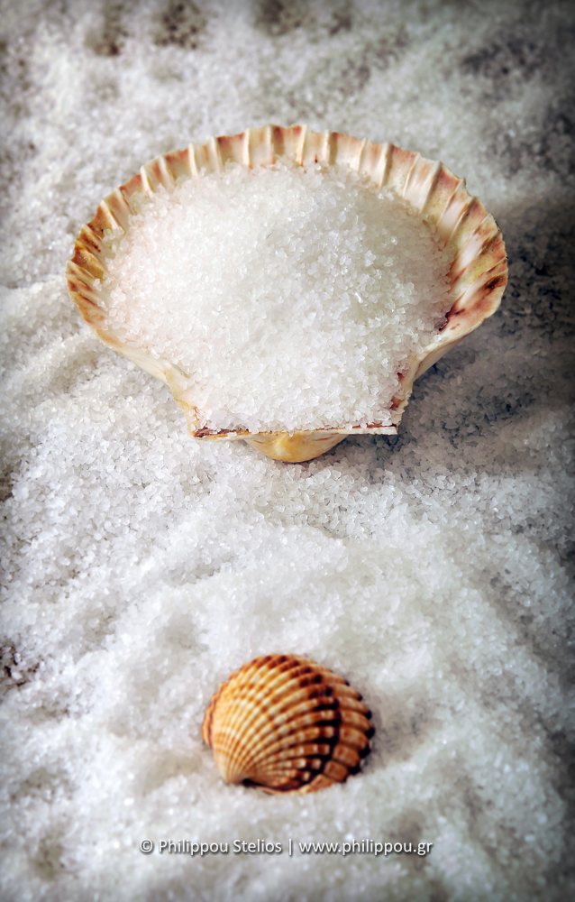 “Salt and Sea Shells”, Photography