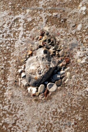 “Salt Embracing the Stone”, Photography