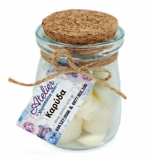 Coconut | Exotic Harmony – Handmade Wax Melts