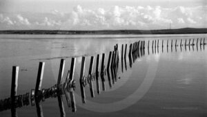 Guardians of the Lake, Desktop Wallpaper 2560X1440